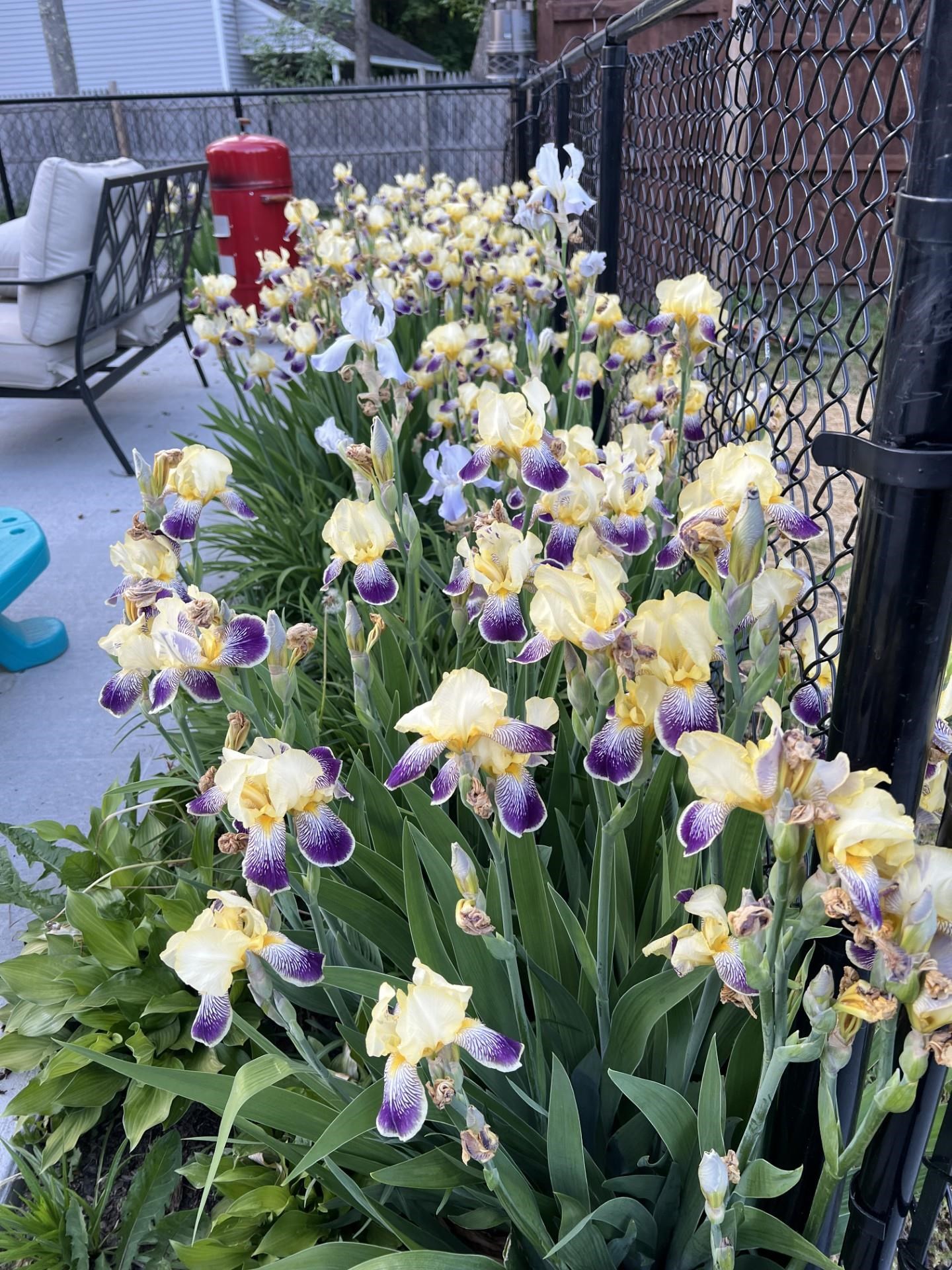 189 College Street North Poultney, VT 05764 - Photo 36 of 40