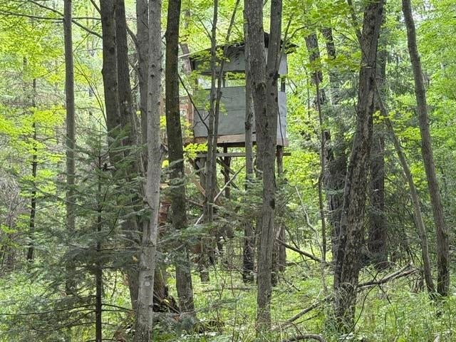 3319 N Road Mosinee, WI 54455 - Photo 36 of 42 Gallery Image 36