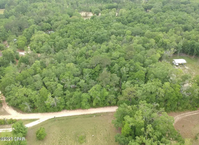 $58,900 | 6.67-ac Goat Forehand Lane, Bonifay, FL 32425