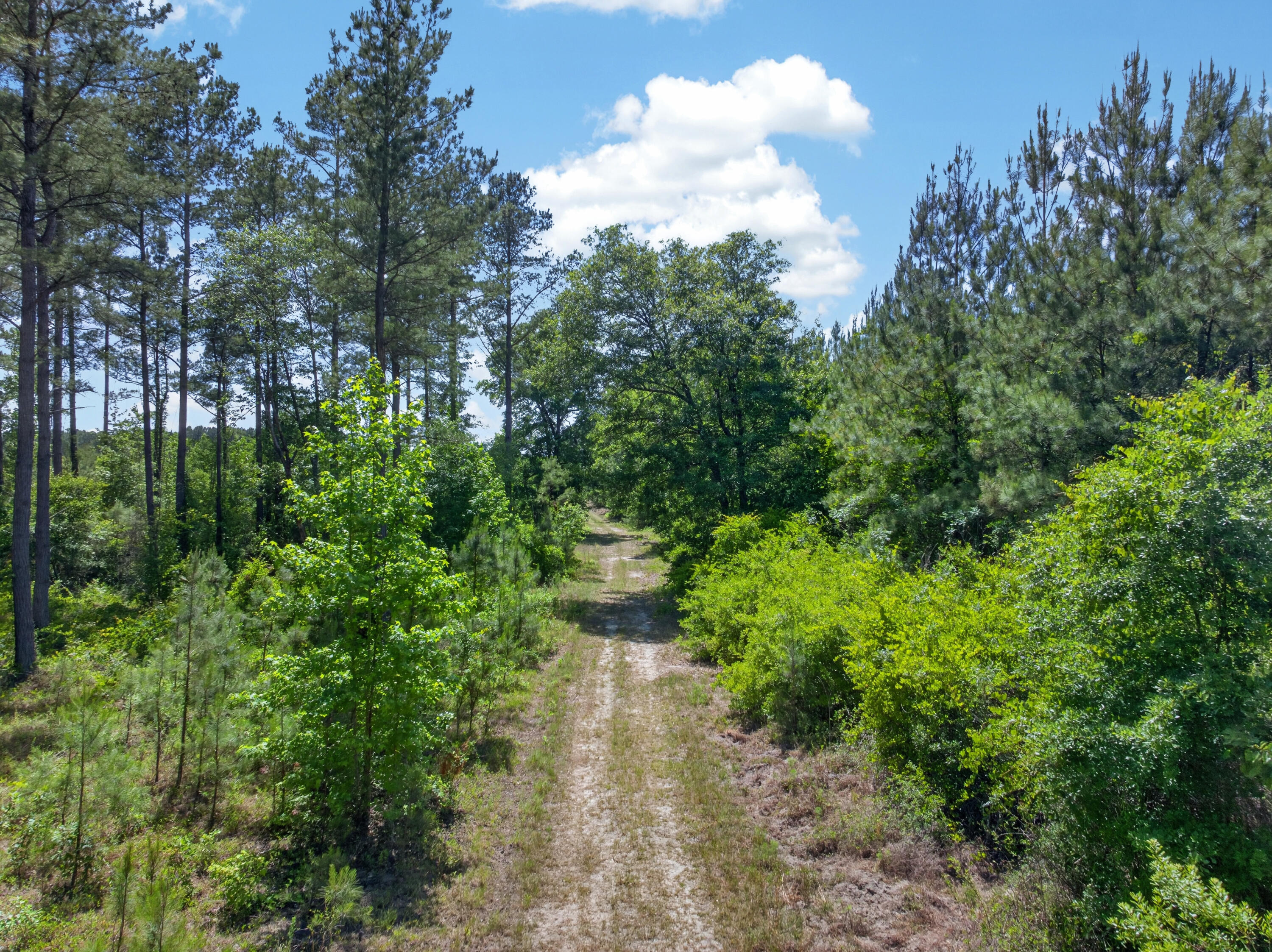 5120 North Brewington Road, Unit 10 Alcolu, SC 29001 - Photo 5 of 40 DJI_20260521140512_0078_D