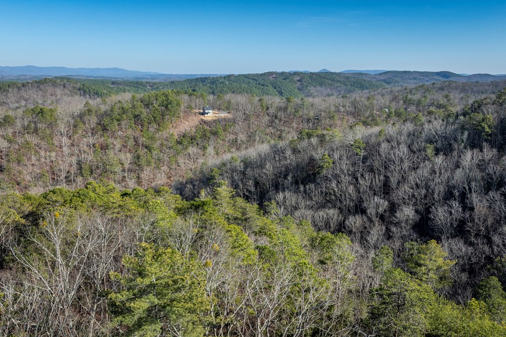 1041 Astro Court Ranger, GA 30734 - Photo 23 of 31 Gallery Image 23