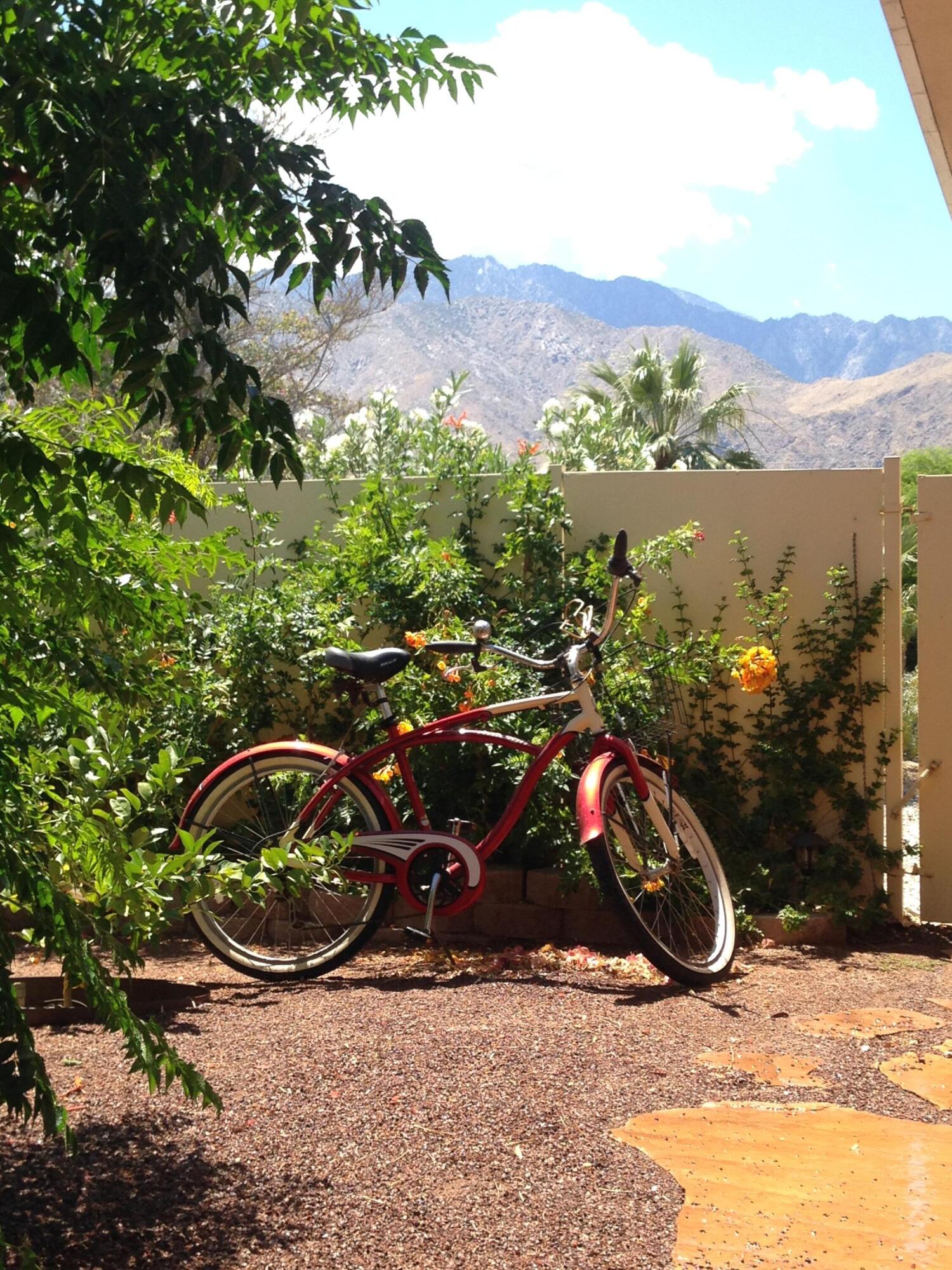1444 North Rodeo Road Palm Springs, CA 92262 - Photo 26 of 26 IMG_4578