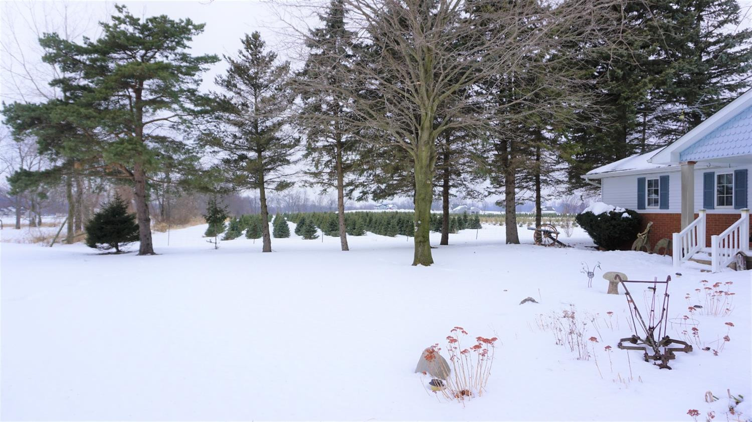 15030 Reiman Road Grass Lake, MI 49240 - Photo 7 of 29 Photo 7