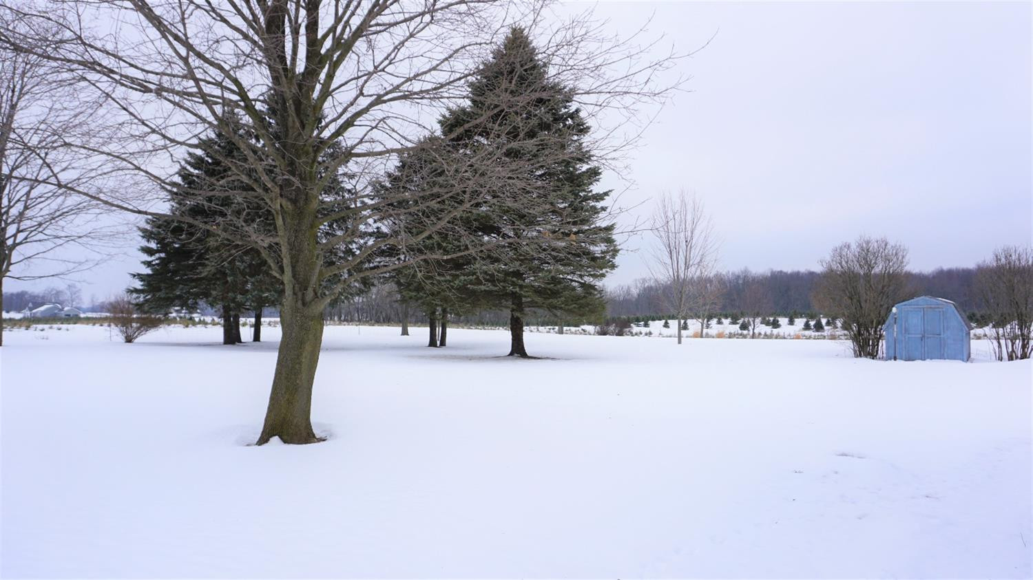 15030 Reiman Road Grass Lake, MI 49240 - Photo 10 of 29 Photo 10