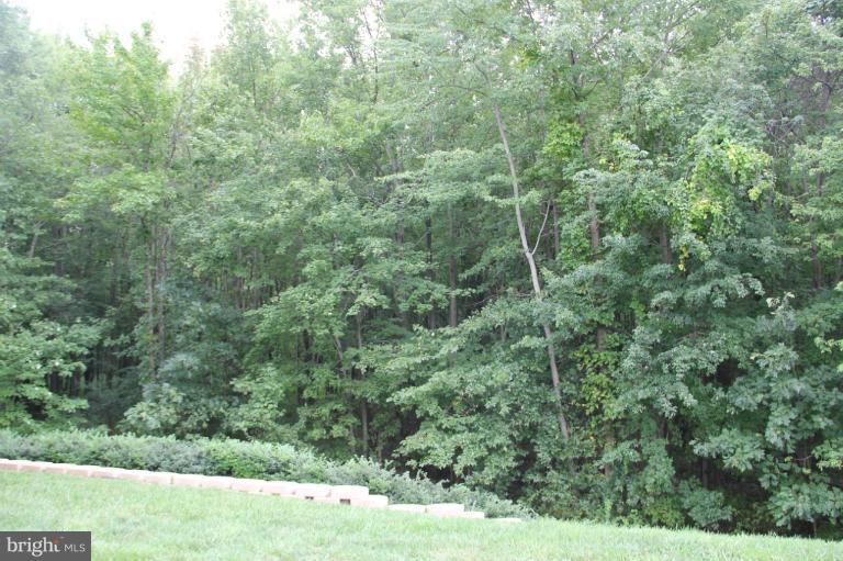 9613 Haven Farm Road, Unit 9613 Perry Hall, MD 21128 - Photo 6 of 21 Exterior (General)