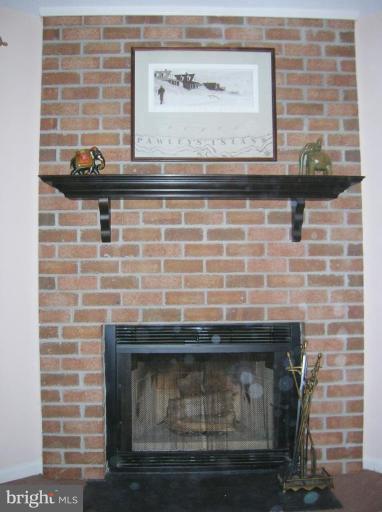 11360 Baroque Road Silver Spring, MD 20901 - Photo 11 of 17 Fireplace
