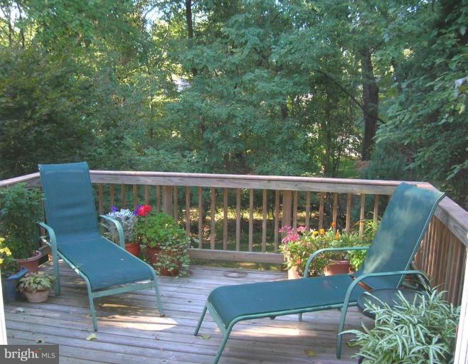 11360 Baroque Road Silver Spring, MD 20901 - Photo 7 of 17 Deck