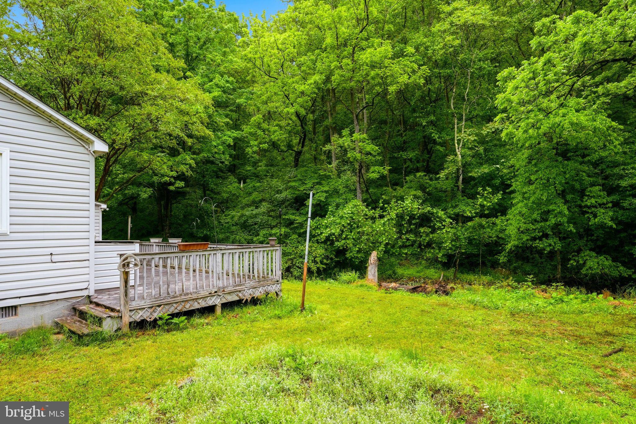 326 Keyser Run Road Washington, VA 22747 - Photo 7 of 33
