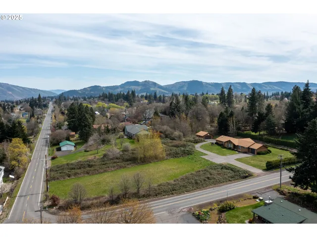 a view of a garden with a mountain