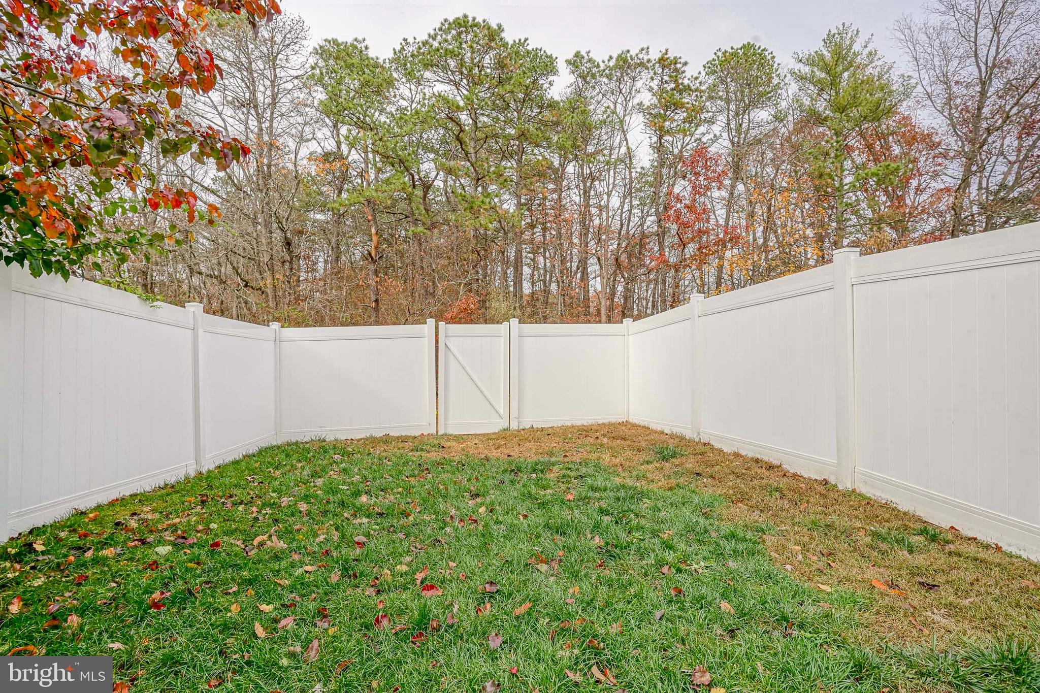 48 Memphis Court Sicklerville, NJ 08081 - Photo 26 of 28 a backyard of a house with large trees