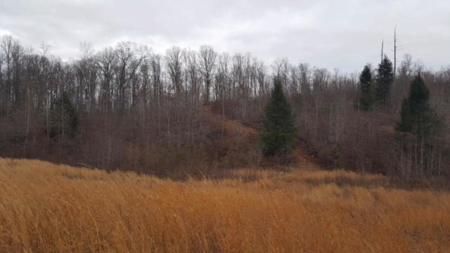 277 Bear Creek Road Winfield, TN 37892 - Photo 25 of 32 Property 1