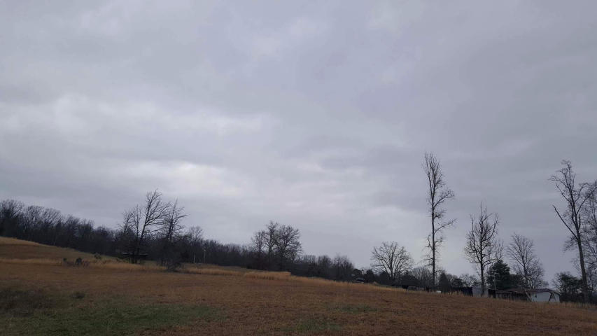 277 Bear Creek Road Winfield, TN 37892 - Photo 26 of 32 Property 2