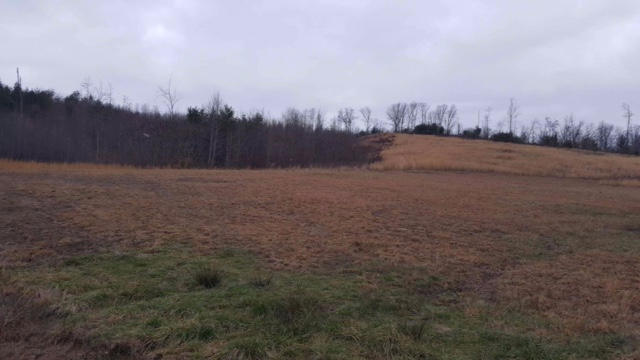 277 Bear Creek Road Winfield, TN 37892 - Photo 27 of 32 Property 3