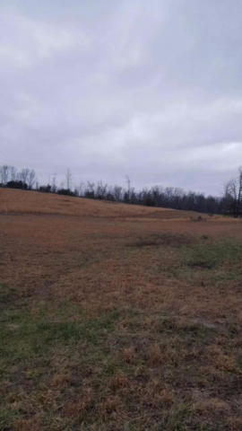 277 Bear Creek Road Winfield, TN 37892 - Photo 31 of 32 Property