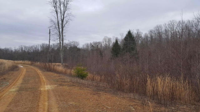 277 Bear Creek Road Winfield, TN 37892 - Photo 32 of 32 Property 10