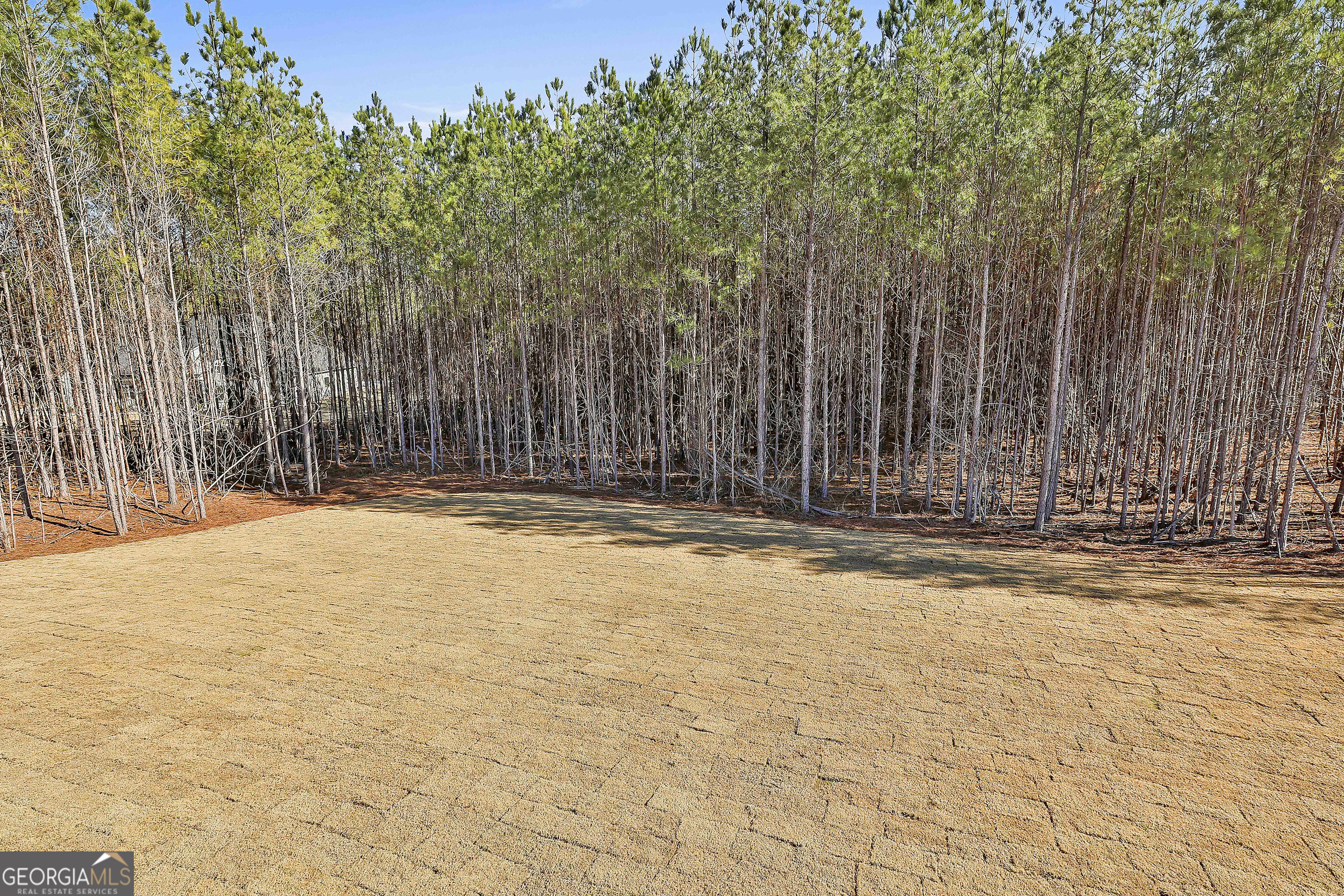 16 Nelson Way, Unit 38 Williamson, GA 30292 - Photo 39 of 44 a view of a backyard of white house