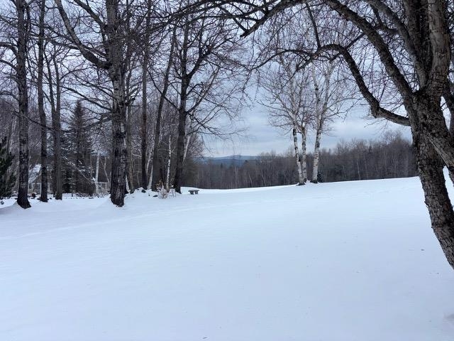 195 Mann Road, Unit 12 Wilmington, VT 05363 - Photo 51 of 52