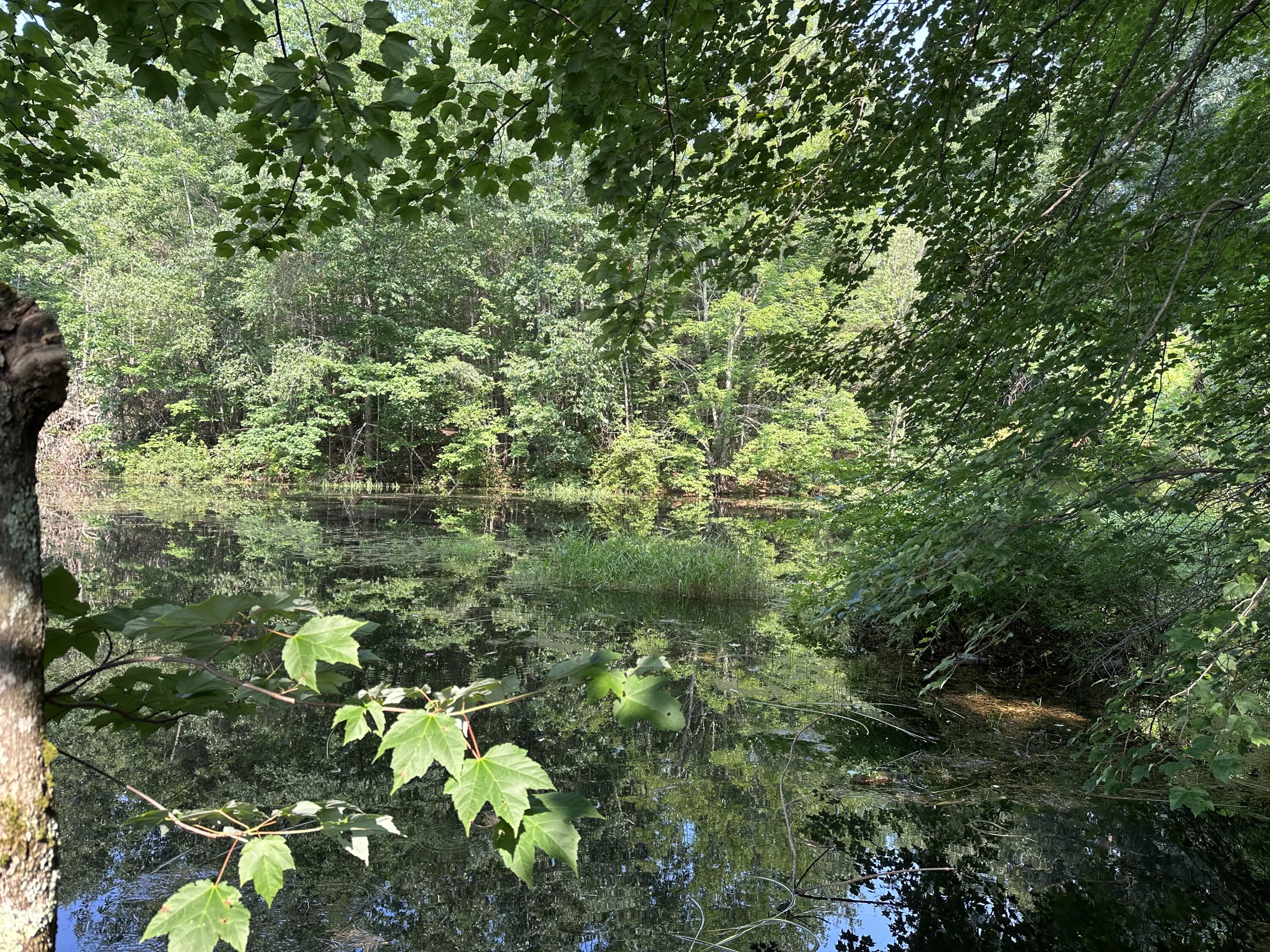 283 Shaker Road Gray, ME 04039 - Photo 51 of 53 IMG_1143
