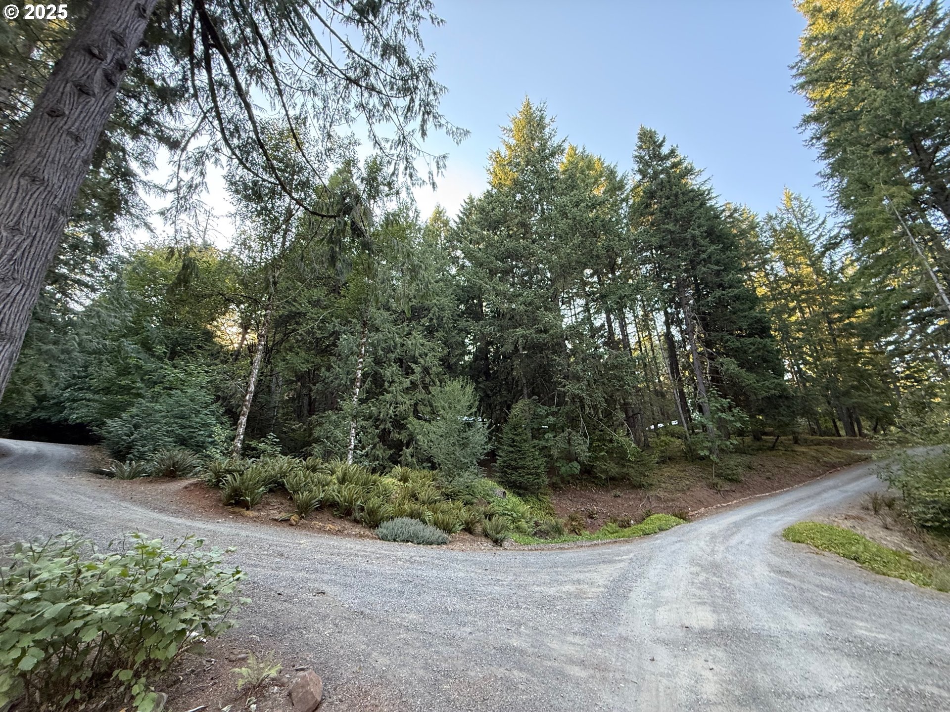 30816 Kenady Lane Cottage Grove, OR 97424 - Photo 27 of 42 Family Room