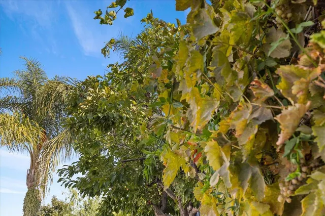 $1,888,995 | 3016 Nieman Boulevard, San Jose, CA 95148