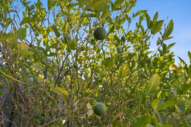 $1,888,995 | 3016 Nieman Boulevard, San Jose, CA 95148