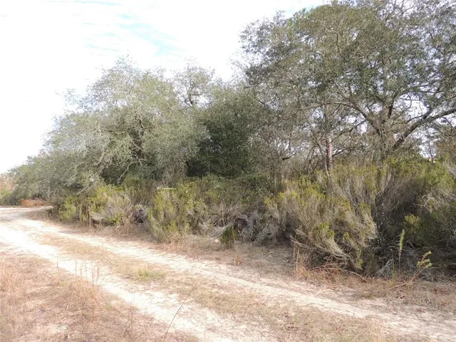 $10,000 | 6691 Northeast 112th Terrace, Williston, FL 32696