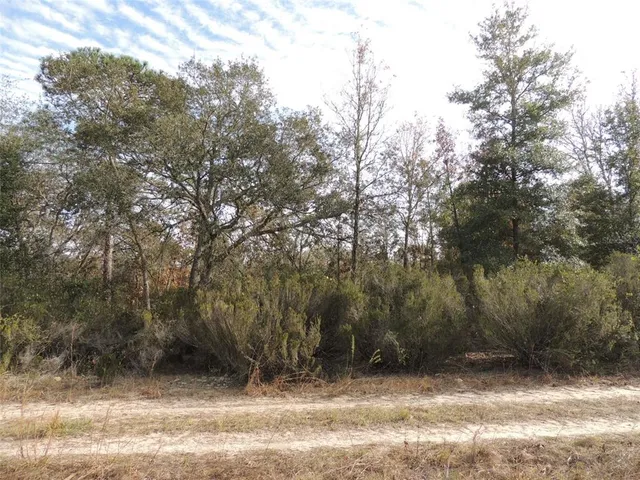 $10,000 | 6691 Northeast 112th Terrace, Williston, FL 32696