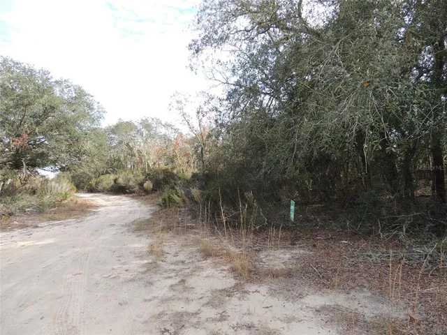 $10,000 | 6691 Northeast 112th Terrace, Williston, FL 32696