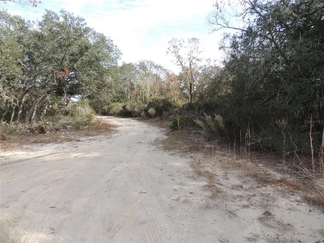 $10,000 | 6691 Northeast 112th Terrace, Williston, FL 32696