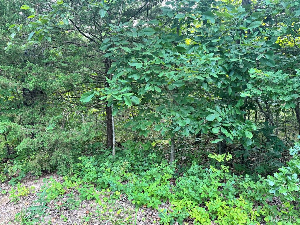 556 Waterford Road Gerald, MO 63037 - Photo 2 of 11