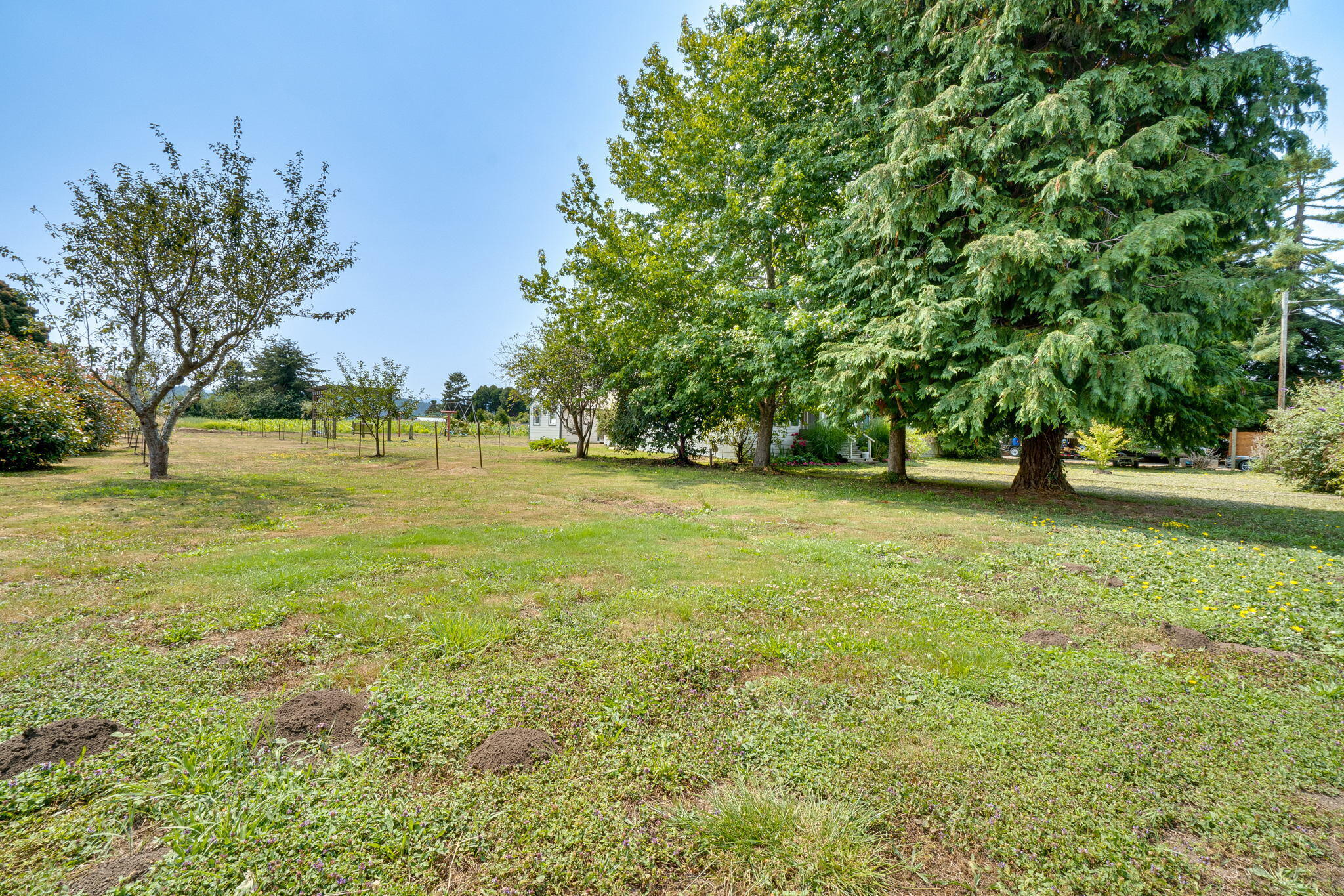 6786 Rohnerville Road Hydesville, CA 95547 - Photo 38 of 72 38-web-or-mls-72