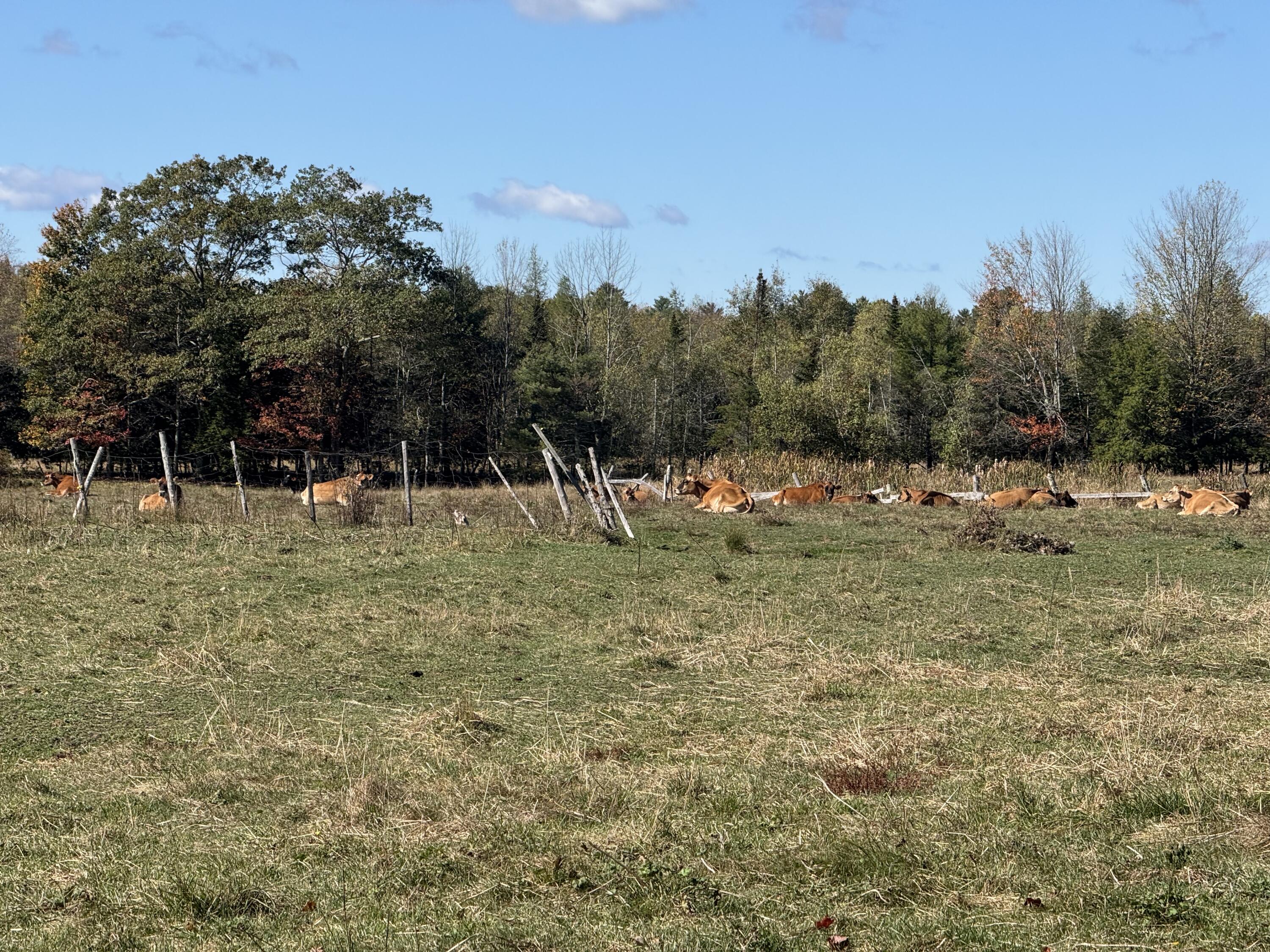 0 Keay Road Sabattus, ME 04280 - Photo 3 of 13 Land