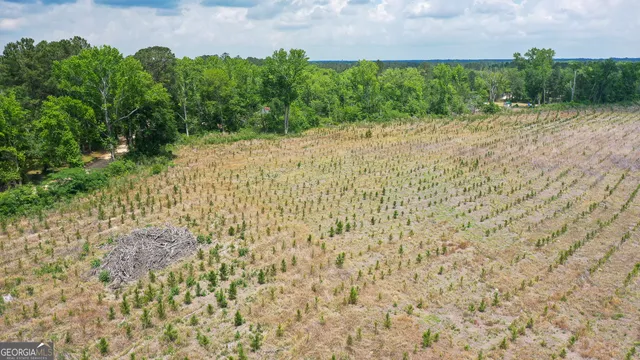 $118,110 | 0 R L R L Lee Road, Unit 11, Statesboro, GA 30461