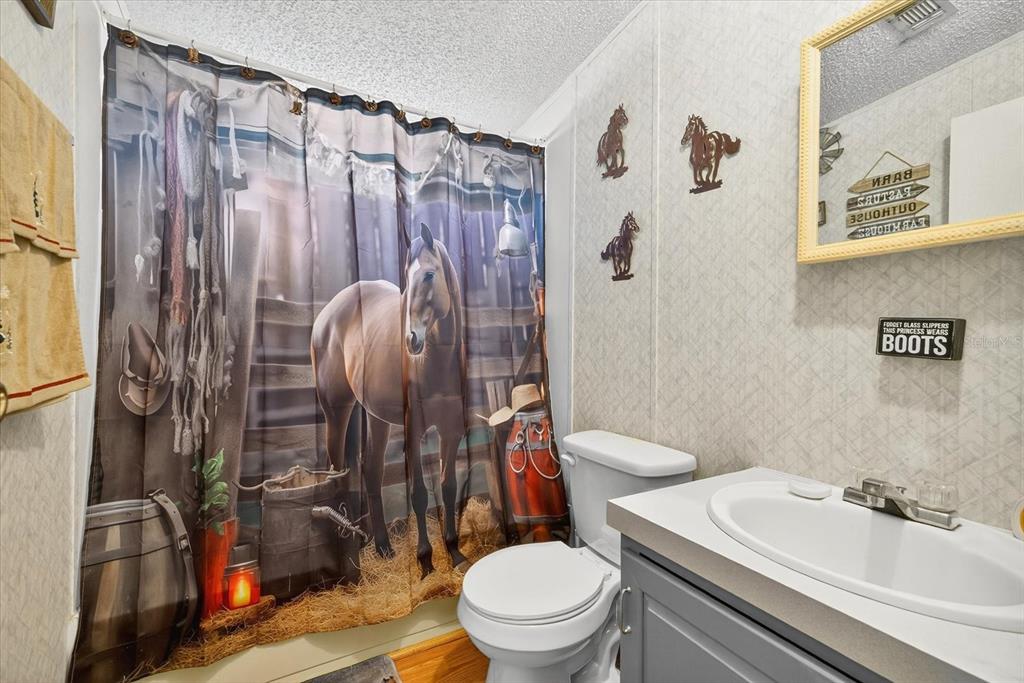 5280 Golddust Road Spring Hill, FL 34609 - Photo 16 of 41 a bathroom with a sink a toilet and a mirror