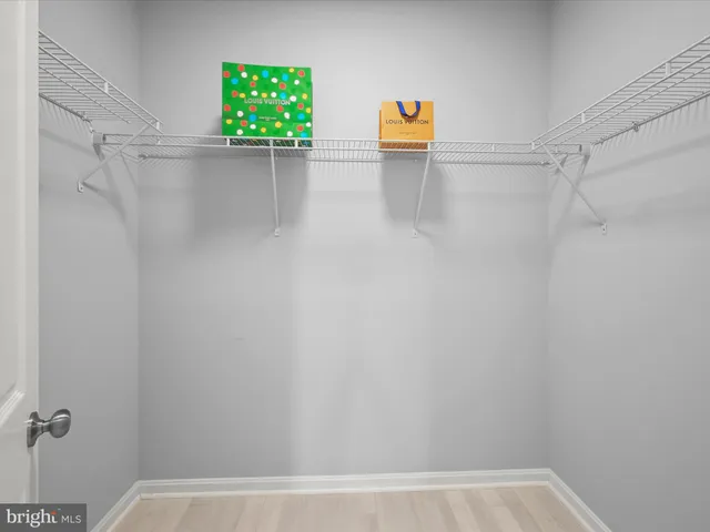 a park view with a bench and trees