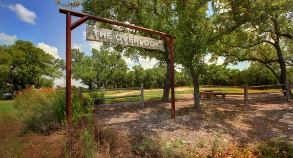 a view of a park with large trees