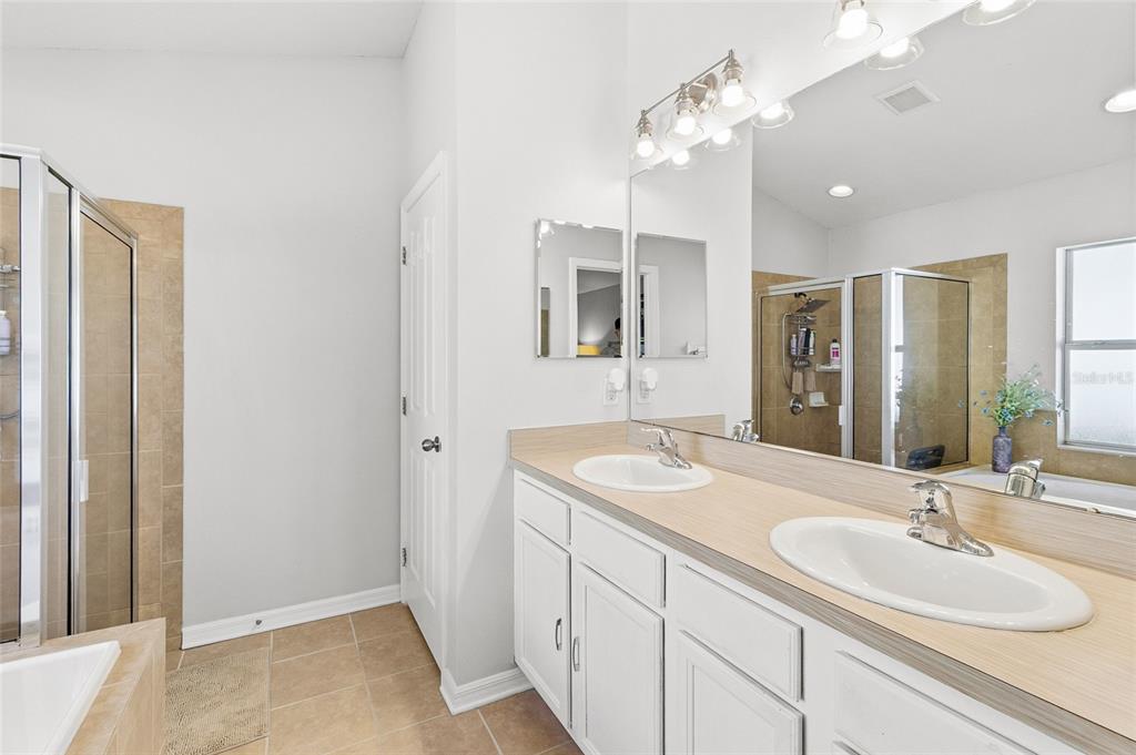 6641 Boulder Run Loop Wesley Chapel, FL 33545 - Photo 23 of 43 a bathroom with a sink double vanity and a mirror