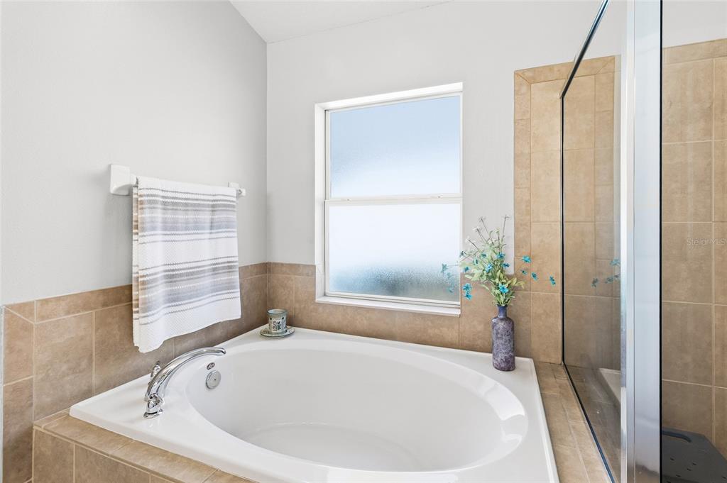 6641 Boulder Run Loop Wesley Chapel, FL 33545 - Photo 24 of 43 a white bath tub with a shower