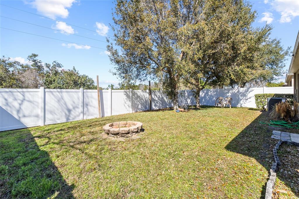 6641 Boulder Run Loop Wesley Chapel, FL 33545 - Photo 36 of 43 a view of backyard with tree
