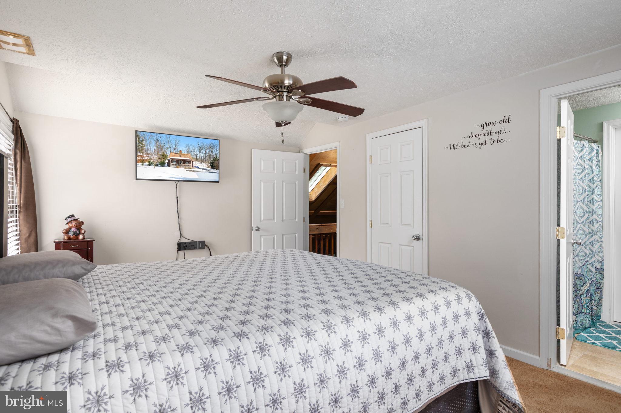 149 Holiday Road Cross Junction, VA 22625 - Photo 20 of 30 Master