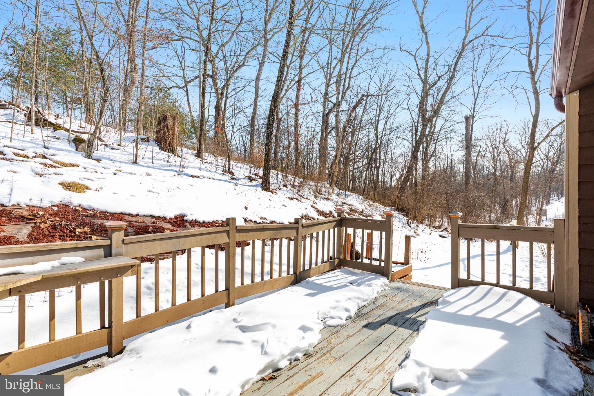 149 Holiday Road Cross Junction, VA 22625 - Photo 6 of 30 Private back deck with woods
