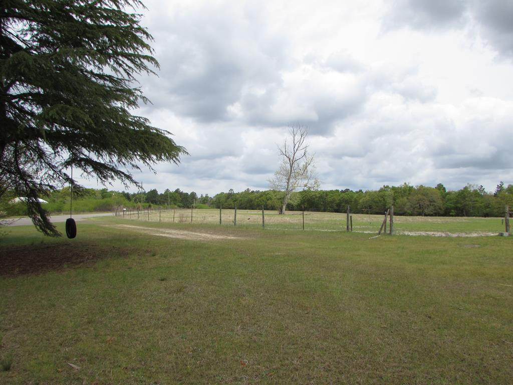 1617 Keys Pond Road Ridge Spring, SC 29129 - Photo 22 of 22