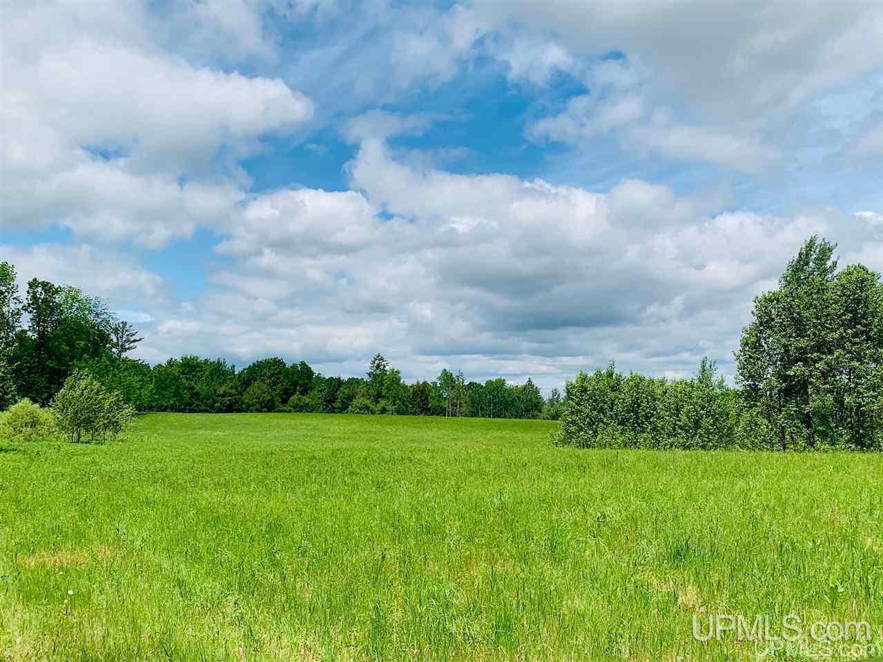 W521 County Road Niagara, WI 54151 - Photo 25 of 27