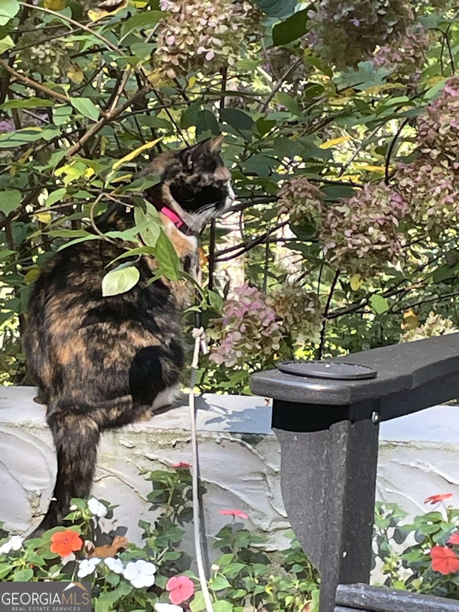 499 Ridgepole Drive Sky Valley, GA 30537 - Photo 31 of 63