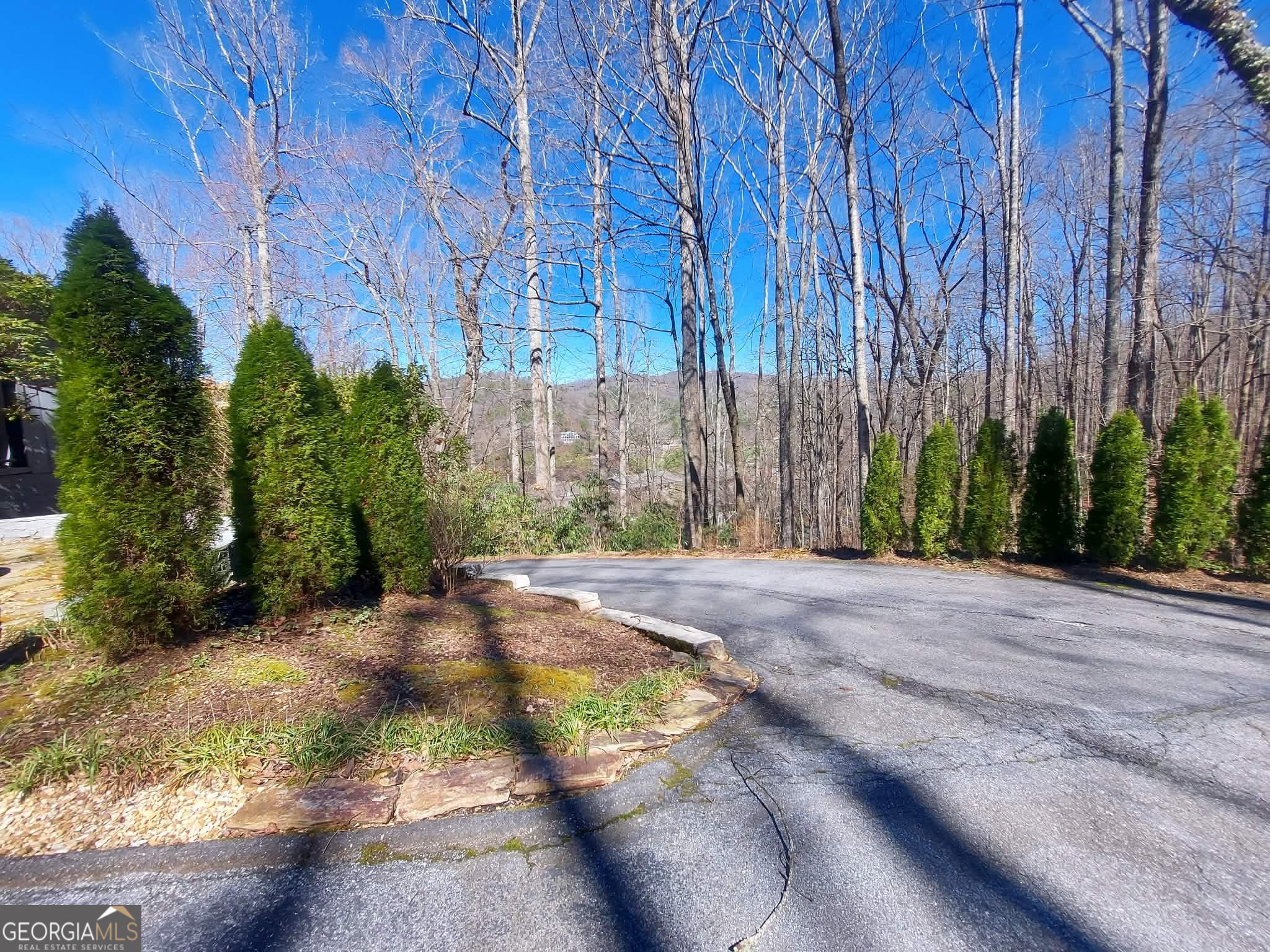 499 Ridgepole Drive Sky Valley, GA 30537 - Photo 9 of 63