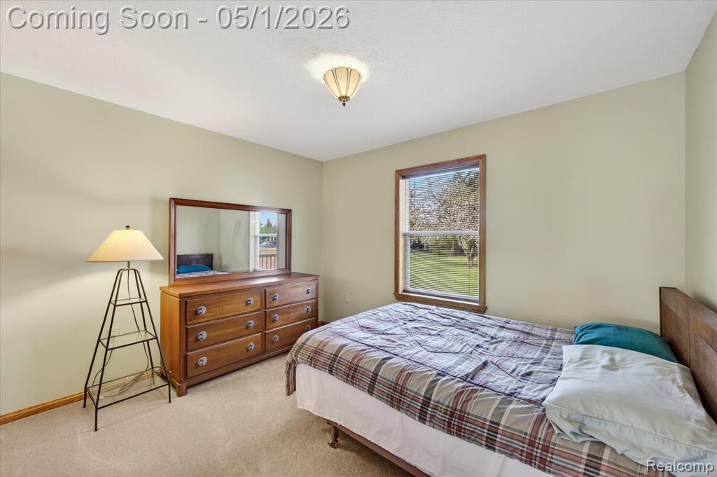 9074 Hamburg Road Brighton, MI 48116 - Photo 19 of 42 Gallery Image 19