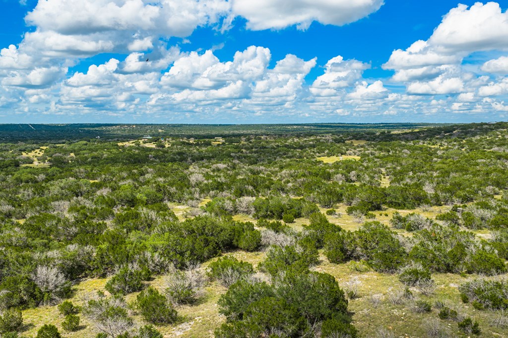 0 Jackson Ranch Rocksprings, TX 78880 - Photo 7 of 27