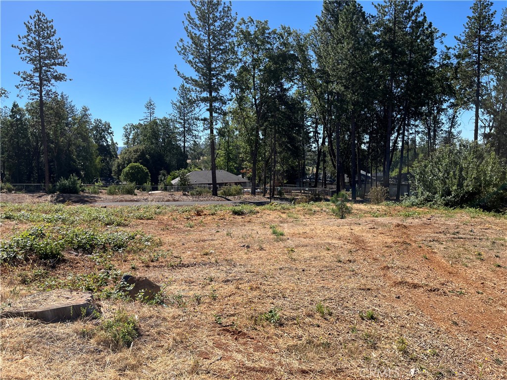 9238 Skyway Road Paradise, CA 95969 - Photo 4 of 9