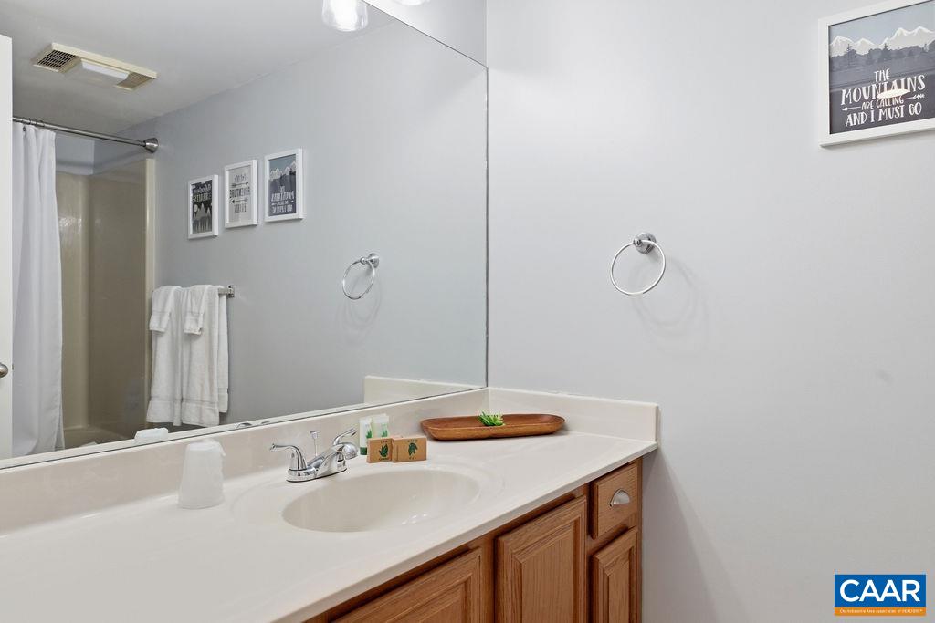 3203 North Ridge Roseland, VA 22967 - Photo 24 of 40