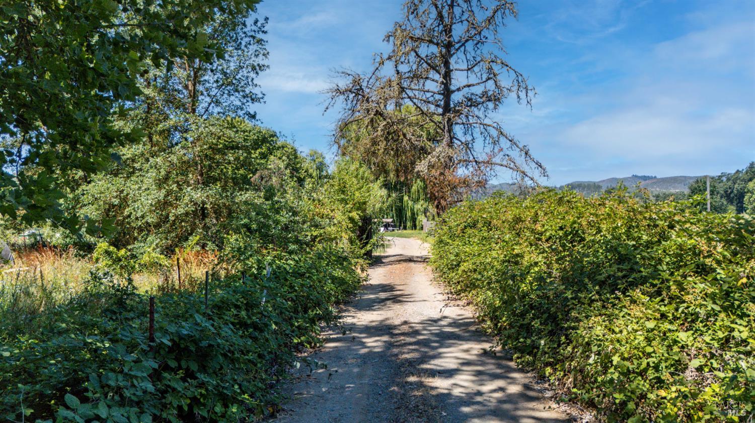 12580 Powerhouse Road Potter Valley, CA 95469 - Photo 4 of 7